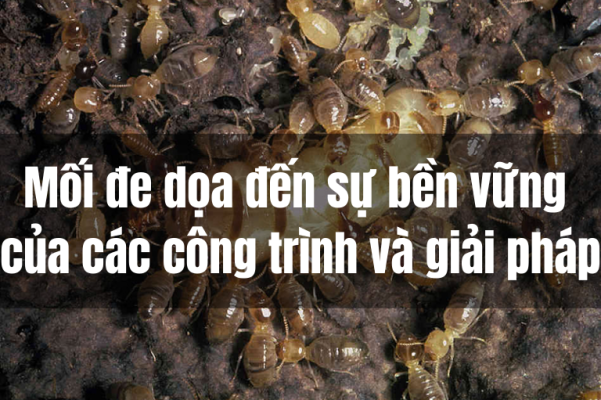 Mối đe dọa đến sự bền vững của các công trình và giải pháp